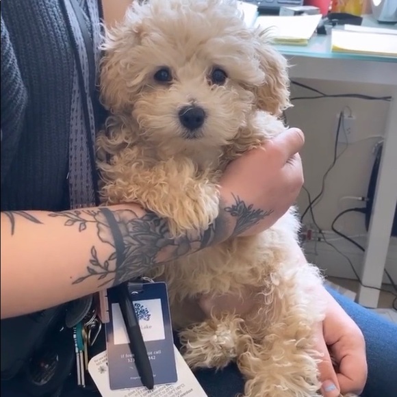 Meet your Posher, Erica - Picture 6 of 7